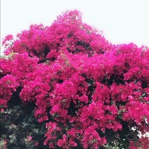 Meet your Posher, Hui